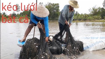 kéo lưới-mưu sinh mùa nước nổi ở miền tây 2019/tập 5