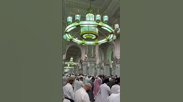 الشيخ بندر بليله يستفتح سورة الأنعام