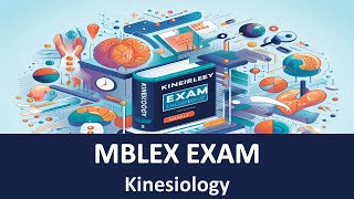 Kinesiology MBLEx exam (70 Questions, Answers & Explanations) screenshot 4