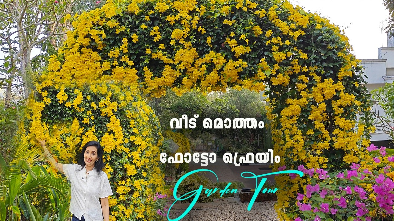 ഈ വീട്ടിൽ  എവിടെ നോക്കിയാലും പൂക്കൾ തന്നെ || Cats claw Garden tour || Home Garden tour