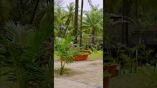 Maharshi Maitreya Ayurveda Gurukul Ashram Tekkatte, Udupi - 576 231 Karnataka