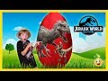 Giant Dinosaur Surprise Egg Opening! Jurassic World Indominus Rex & T-Rex Dinosaurs with Kids Toys