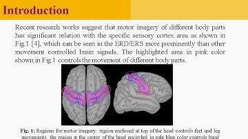 Classification of movement and  motor imagery based neural signals