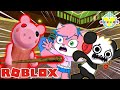 PIGGY ESCAPE ! Roblox Piggy Let’s Play with Combo Panda and Alpha Lexa