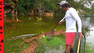CATCHING GIANT FISH in FLOODED BACKYARD **Fish go after Ducks**