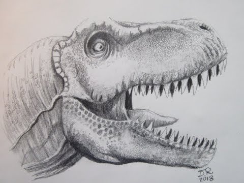 How to Draw a TRex Head  Dinosaur from Jurassic Parck  YouTube