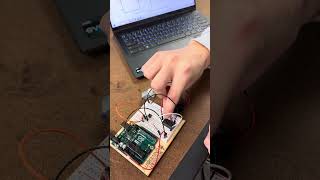 Electronics Task D2 Net Worth