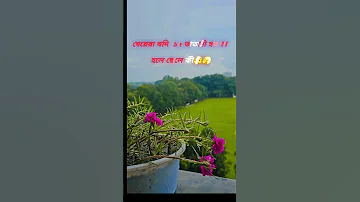 25 August 2025 