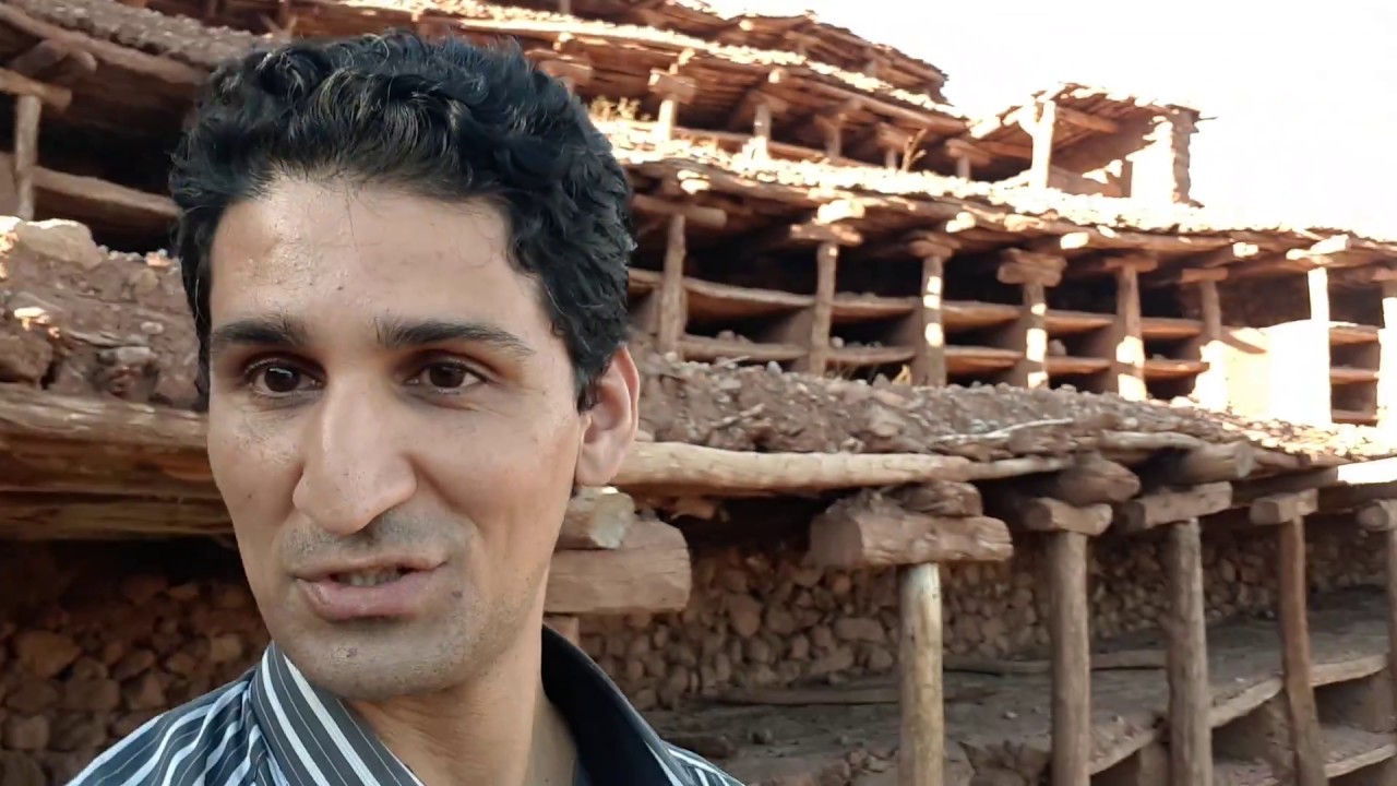 اكتشف أكبر مناحل العالم - المنحل التقليدي لأنزركي