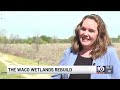 Waco wetlands rebuild aims to protect clean drinking water