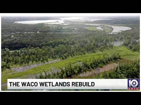 Waco wetlands rebuild aims to protect clean drinking water
