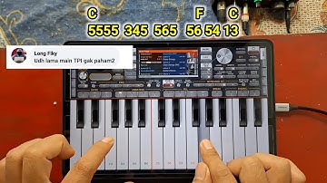 TUTORIAL MAIN ORG 2024 • BUAT PEMULA BGT