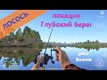 Русская рыбалка 4 - река Волхов - Лосось у плотины \ Atlantic Salmon