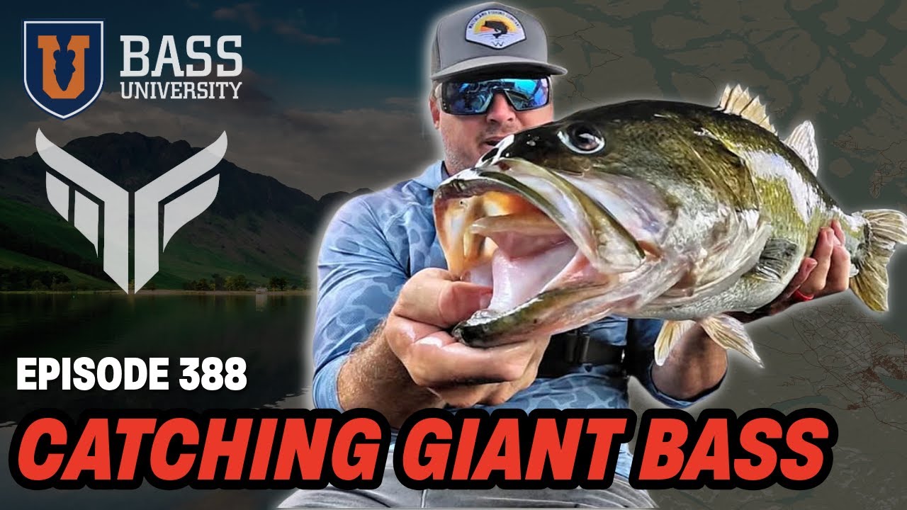 Ben Milliken | Locate & Catch Giant Bass - Bass University Live 