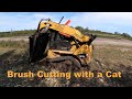 Roadside brush cutting with a caterpillar 247b