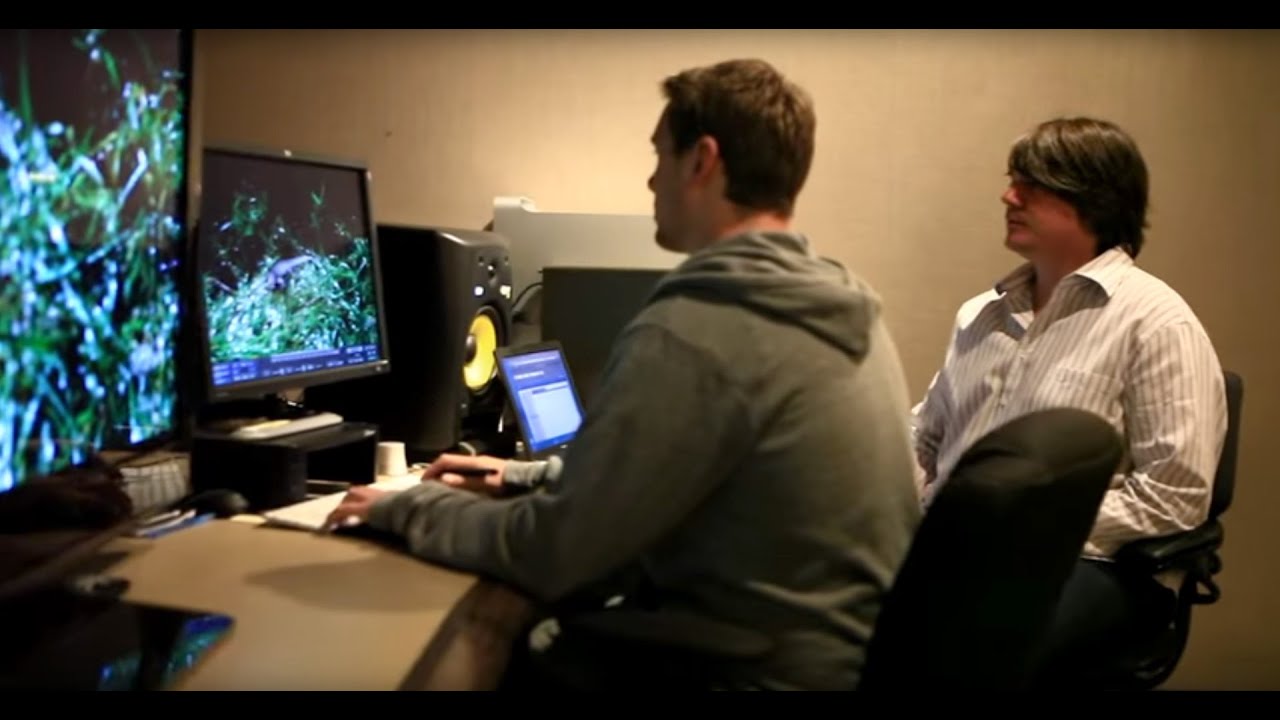 Visual effects degree lasopafairy