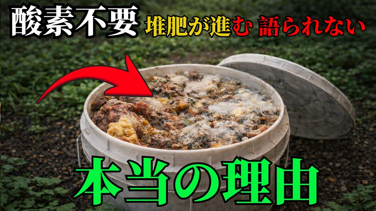 『堆肥には酸素が必要』と言われるが…この方法は酸素を遮断する｜彼らが語らない真実とは？ | 雑草対策