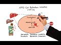 Pharmacology - DRUGS FOR HYPERLIPIDEMIA (MADE EASY)