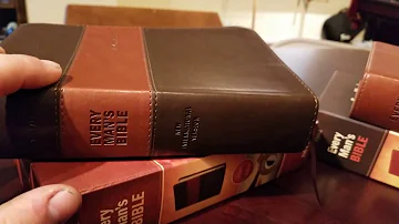 Every Man's Bible Review (Standard NLT, Standard NIV and the Large Print NLT) in varying LeatherLike