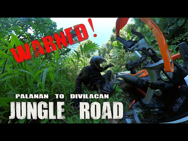 Palanan to Divilacan Jungle Road | Solo Riding Adventures class=