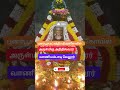 அதிதீஷ்வரர் #punarpoosam #vellore #santhoshastro #athithesharar #murugan #trending #viralvideo