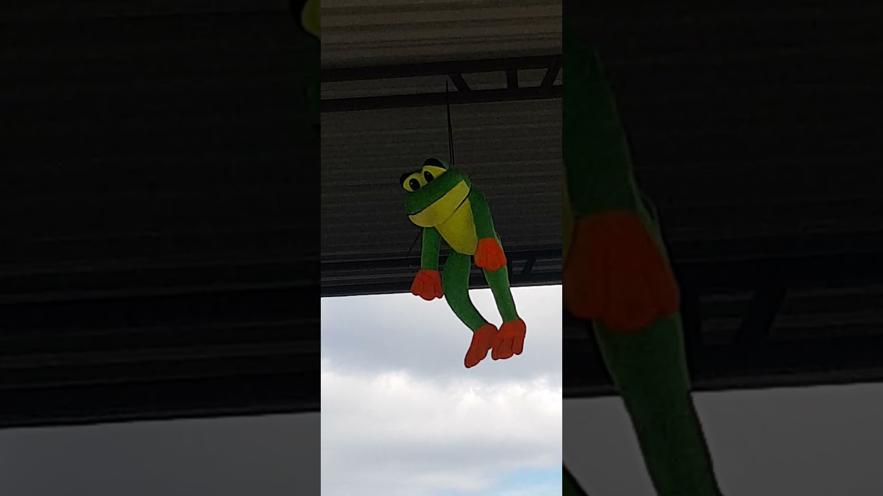 KERMIT THE FROG FLYING HIGH WITH THE KNOTMAN #kermit #hollywood #melissamendini