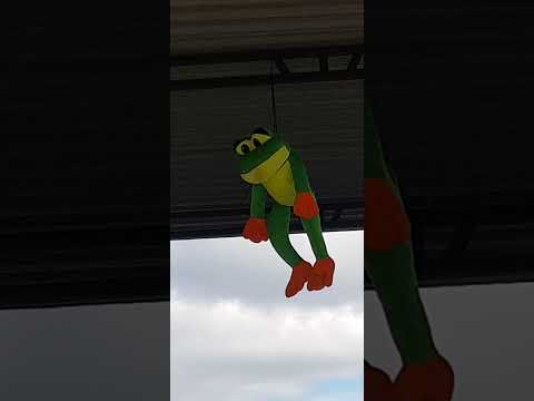 KERMIT THE FROG FLYING HIGH WITH THE KNOTMAN #kermit #hollywood #melissamendini