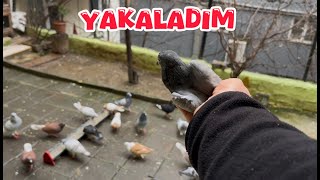 Bölük Mi̇safi̇r Geti̇rdi̇ Yakaladim