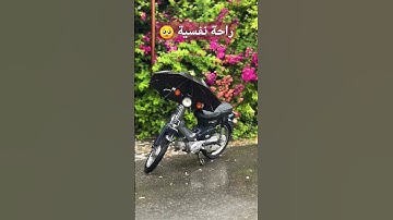 #تلاوة_رائعة #تلاوة_خاشعة #تلاوة_هادئة #تجويد #هزاع_البلوشي #البلوشي #سورة_الحجر #الجزائر #السعودية