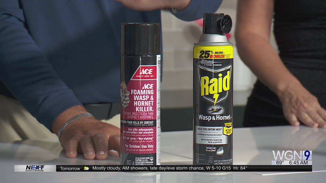 Mr. Fix It shares tips to get rid of mold 