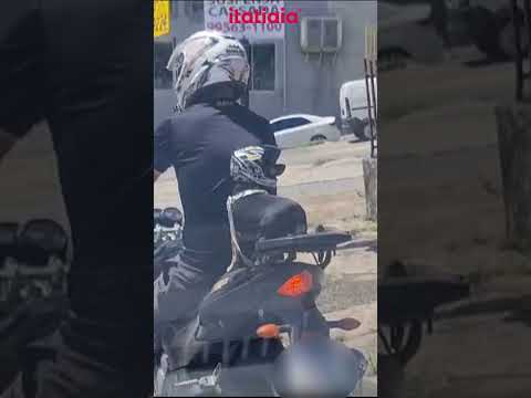 Vídeo: Cachorro é flagrado em garupa de moto em BH