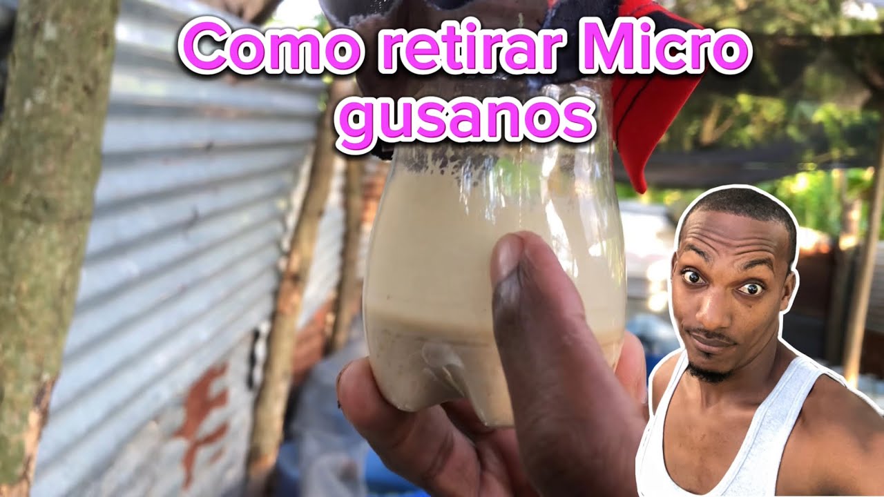 Como retirar y aplicar Micro gusanos de avena