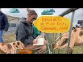 Come and Draw with me at the Royal Cornwall Show!