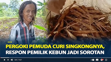 Pergoki Pemuda Curi Singkongnya, Respon Pemilik Kebun Jadi Sorotan