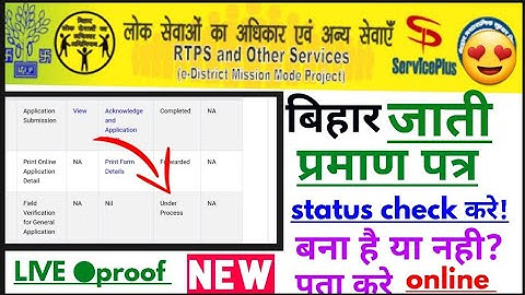 Bihar caste certificate status check online kaise karen | bihar caste certificate online