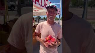 Colorado's Palisade peaches arrive early in 2024