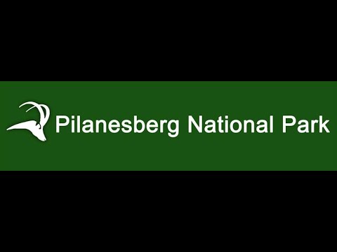 Pilanesberg National Park - een korte impressie