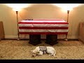 Examining the unbreakable bond between Veterans and their service dogs Examining the unbreakable bond between Veterans and their service dogs