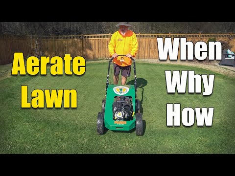 How and When to Aerate Your Lawn