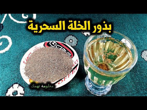 بذور الخلة 18 فائدة واهم الامراض التى تعالجها الخلة