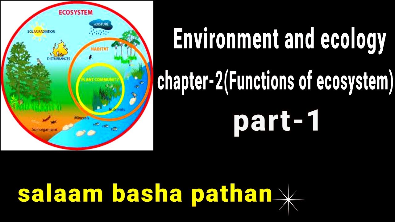 Environment and ecology,chapter-2(Functions of ecology),part-1//upsc ...