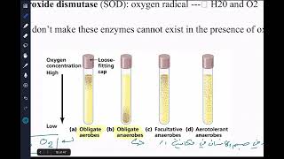 Lecture 4 of introduction to microbiology with Dr.Hazem Aql