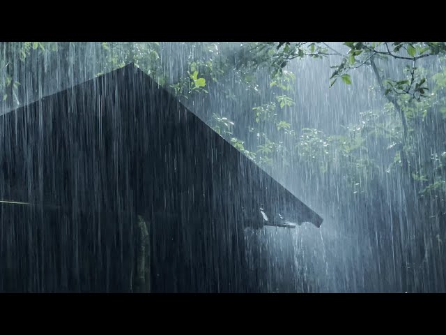 Sleep Instantly Within 3 Minutes with Heavy Rain u0026 Thunder on Ancient House in Foggy Forest at Night class=