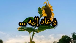 أكل مال اليتيم - قصة واقعية