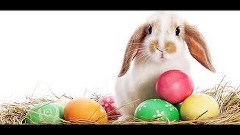 F.E.A.R. Extraction Point Walkthrough | Interval 02: Terminus | Part 5 Happy Easter