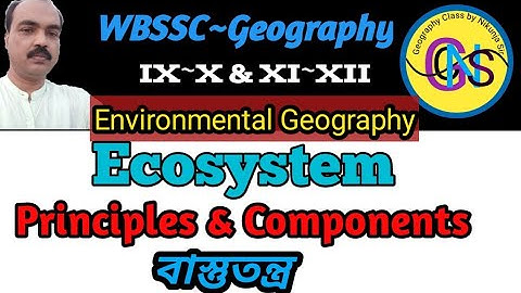 Components and principles of Ecosystem for slst geography/Environmental geography/বাস্তুতন্ত্র