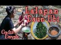 Masakan Gadis Dayak Iban ( Lalapan Daun Ubi+Sambal ) Di Hutan Kalimantan,,,!!!