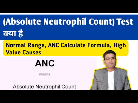 ANC Test (absolute neutrophil count) in Hindi | Normal Range, Formula | High and Low ANC Causes