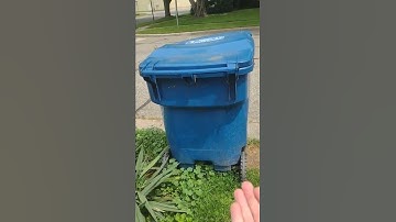 how to look at a garbage can