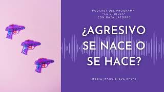 ¿Agresivo se nace o se hace? Colaboración de María Jesús Álava Reyes en el programa La Brújula